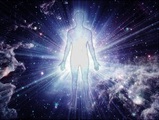 light_body-21