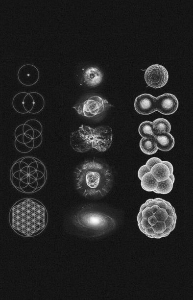 f92e783aab087b964e0f6b120373ae11