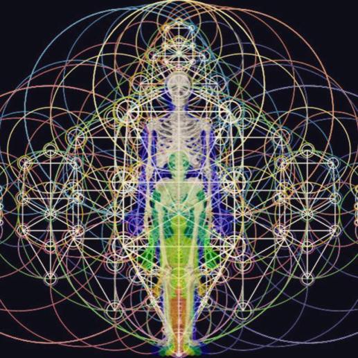 20476094_252259801930311_7972859918805560265_n