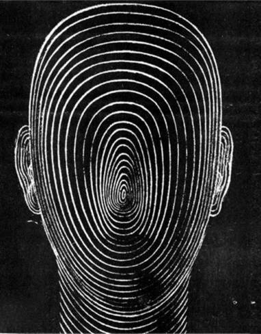 tumblr_n248v2Y2rx1slcr5ho1_500